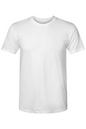 Next Level Triblend T-Shirt - NL6010